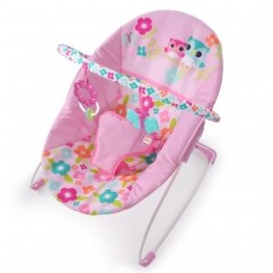 Bright Starts Vibrating Bouncer - Fanciful Flowers
