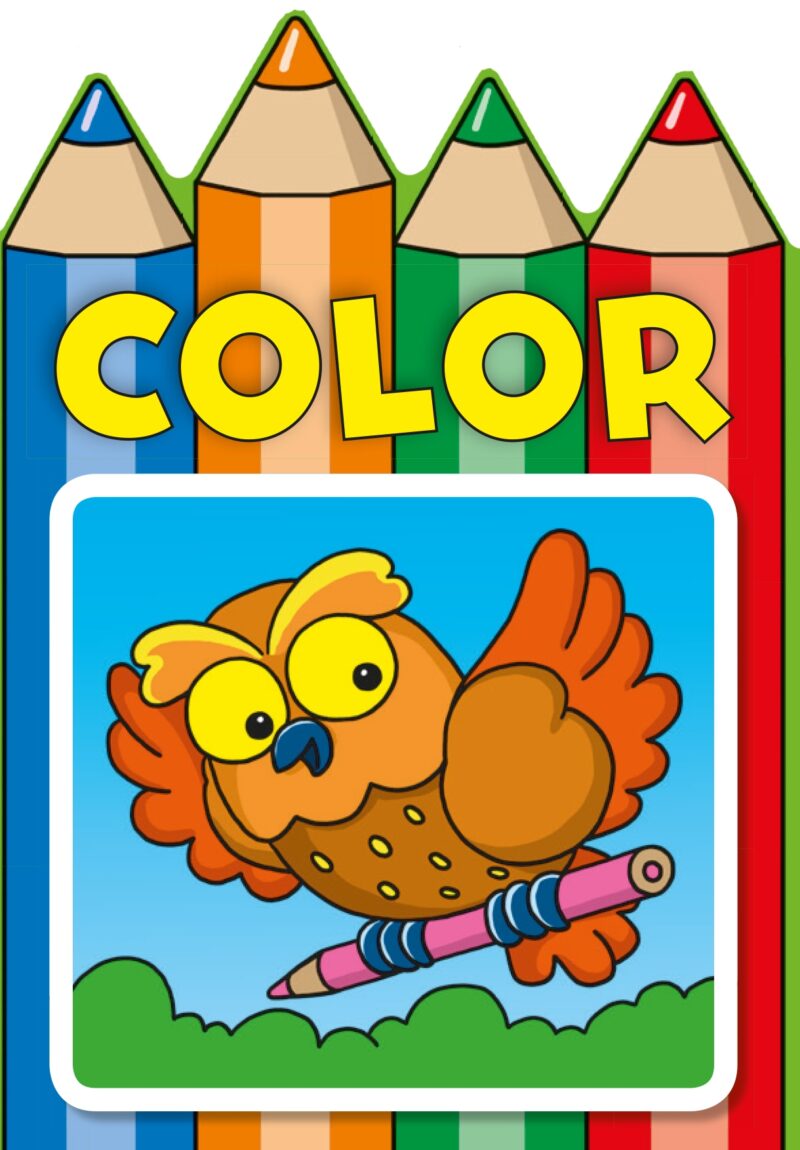 Color Pencil - Hibou