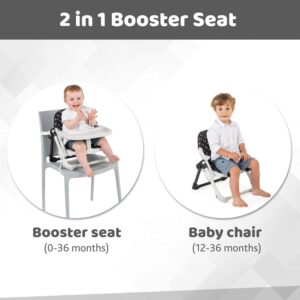 Chicco Chairy Booster Seat - Sweetdog