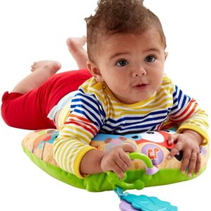 Fisher-Price Soothing Vibrations Tummy