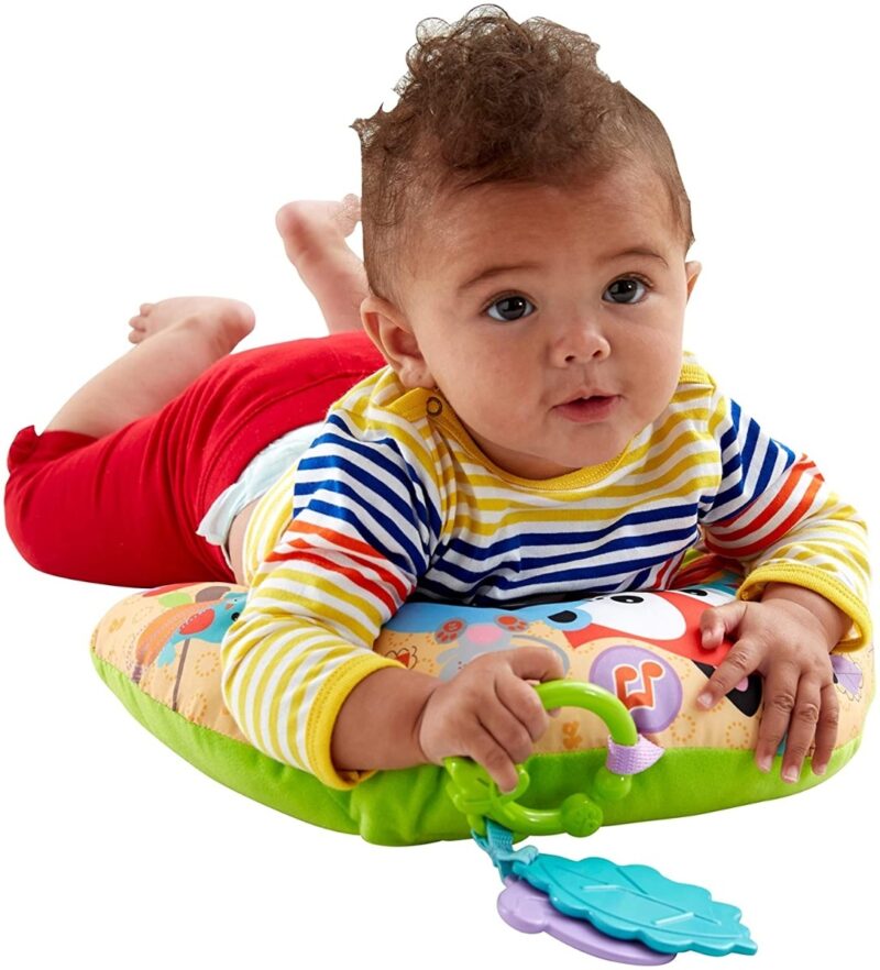 Fisher-Price Soothing Vibrations Tummy
