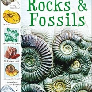 Rocks & Fossils (Usborne Nature Trail)