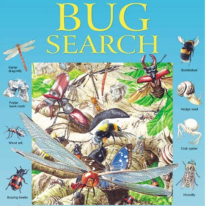 Big Bug Search The Revised