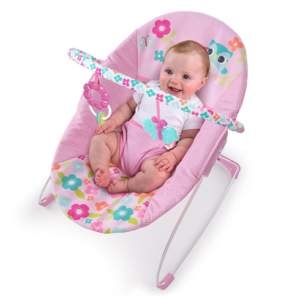 Bright Starts Vibrating Bouncer - Fanciful Flowers